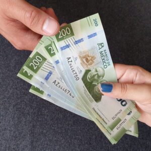 Iversión Beeton 5K